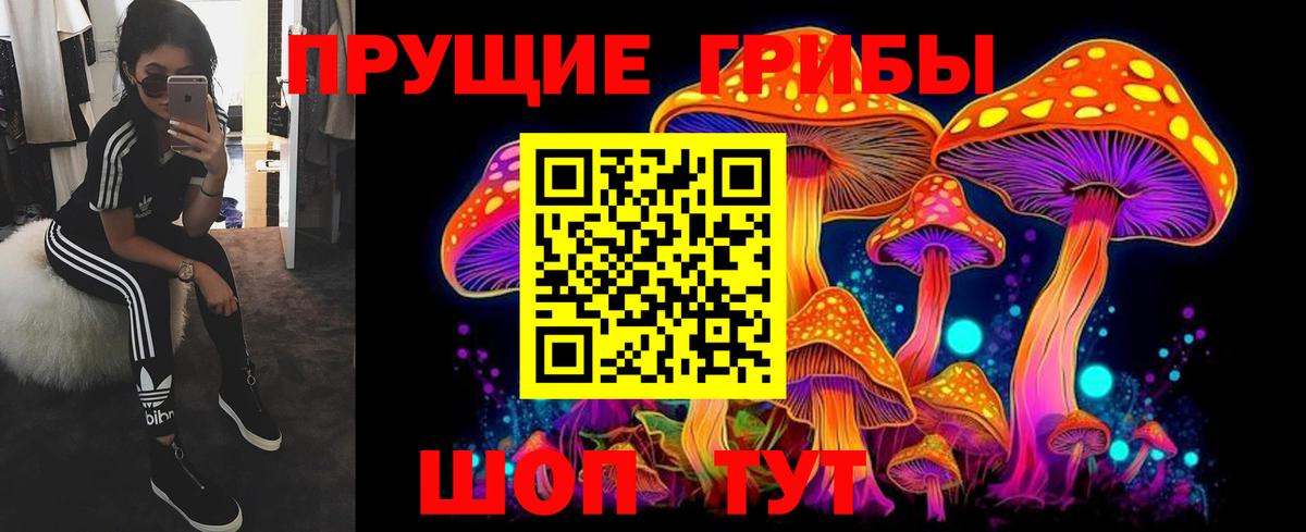 Химки  Галлюциногенные грибы Magic Shrooms  Вход с VPN 